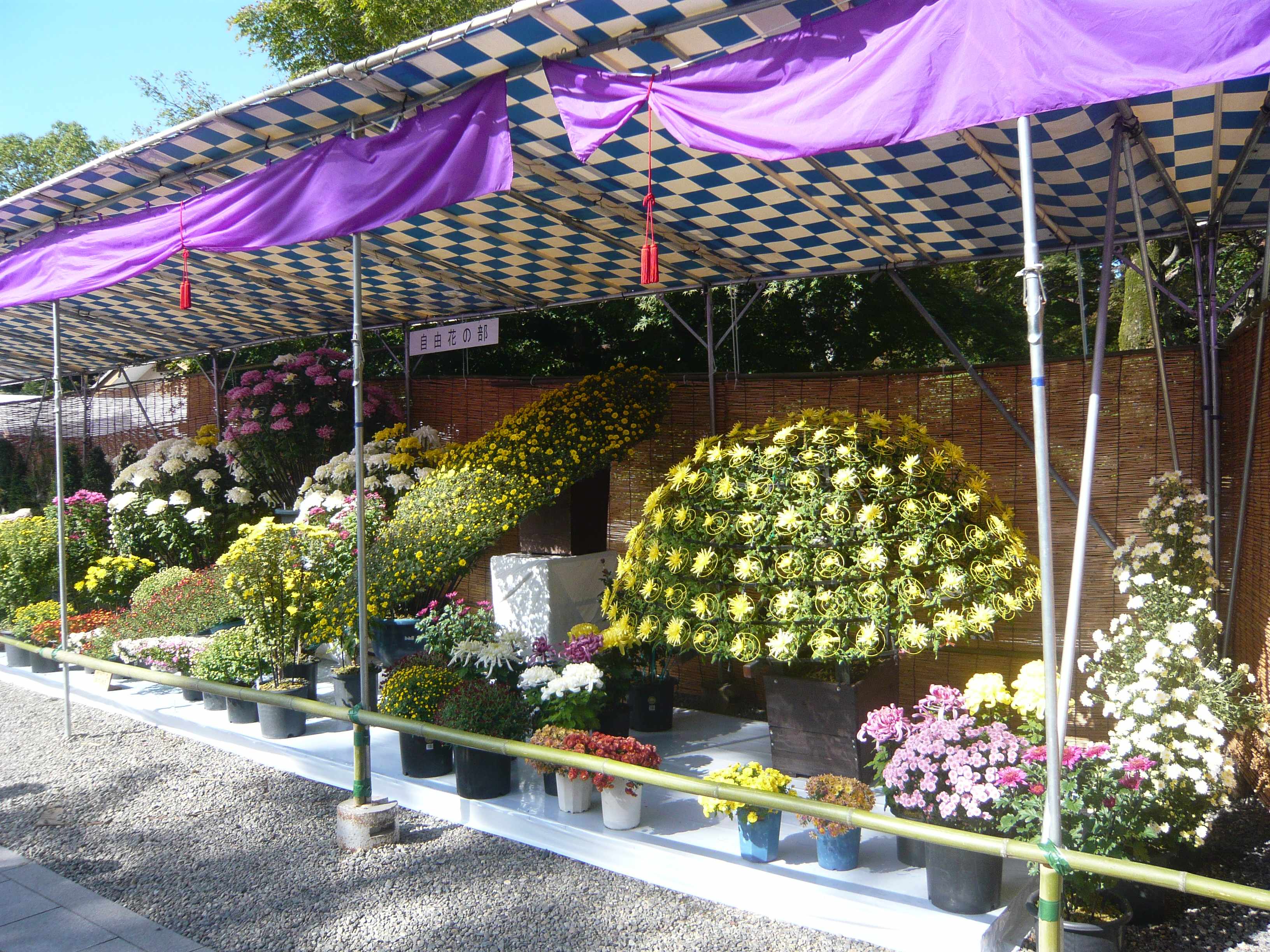 ⛩️ 이즈모 대사 사가미 분사 (이즈모타이샤 사가미분시) 이미지 12